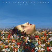 Seasons Past - The Pineapple Thief