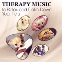Time for Us (Stream) - Pet Care Club