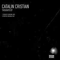 Purpose - Catalin Cristian