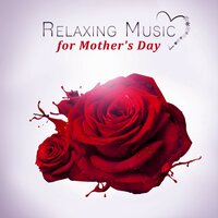 Beautiful Flute and Ambient Music to Relax - Special Occasions Academy