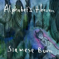 Siamese Burn - Alphabets Heaven