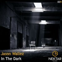 In the Dark - Jason Wallez