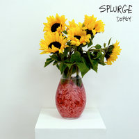 I Don't Care - Splurge