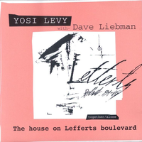 Out of the Blue - David Liebman & Yosi Levi