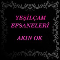 Nur Sürer - Akın Ok