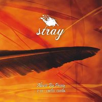 Does It Really Matter? - Stray