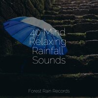 Forest, Birds, River Close - Nature and Rain & Sons da natureza HD & Relaxing Rain Sounds