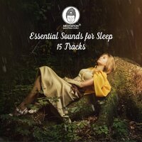 Pure Relaxation - Meditation Mantras Guru