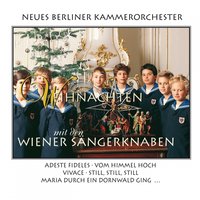 Maria durch ein Dornwald ging - Wiener Sängerknaben & Peter Marschik