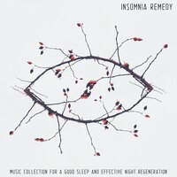 Placid Rest - Sleep System