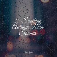 All Night Rain - Nature Sounds for Relaxation and Sleep & Sampling XL & Powerthoughts Meditation Club