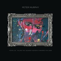 Deep Ocean, Vast Sea - Peter Murphy
