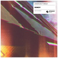 Remedy - Zonderling & Mingue