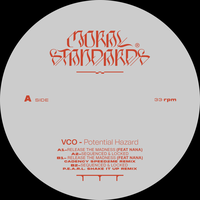 Release The Madness feat. Nana - VCO & NaNa