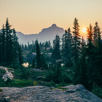 Relaxing Sounds of the Forest - Nature Sounds & Relaxing Music Ox & Amazing Spa Music