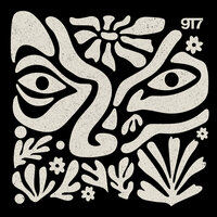 Wonderland - 9T7