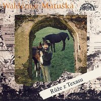 Slaný déšť - Waldemar Matuska