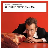 Tout toi - Luc De Larochelliere