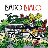 100% - Baro Bialo