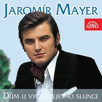 Vlny - Jaromír Mayer