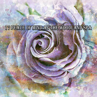 Earths Pleasure - Sounds of Nature White Noise for Mindfulness Meditation and Relaxation
