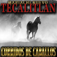 Caballo de Patas Blancas - Mariachi Nuevo Tecalitlan