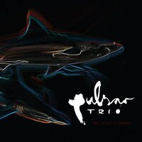 Winewalking Paradise - Pulsar Trio