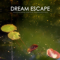Gentle Sounds of Rain to Fall Asleep Fast - Nature Sound - Nature Sound Series