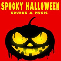 Spooky Forest at Night - The Hollywood Edge Sound Effects Library