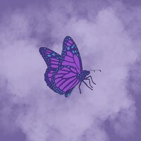 Soar - Slowheal
