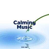 Fast Reading (Exam Study) - Relaxing Songs & Hawaiian Nature & Relaxing Songs & Hawaiian Nature