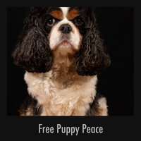 Truthful Pup Sleep Ambience - Calming Puppy Relaxation