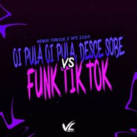Oi Pula Oi Pula Desce Sobe Vs Funk TikTok - MENOR TORVICK & MTS Silva