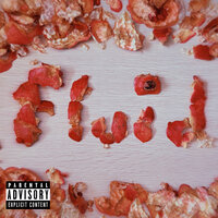 Fluid - G.G.