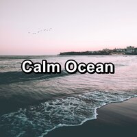 Sleepy Sea Sounds Ocean Lullaby Ambience Sounds - Spa & Spa Music & Meditation Spa