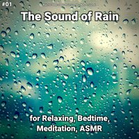 Fantastic Ambient Sounds - Rain for Deep Sleep & Rain Sounds & Nature Sounds