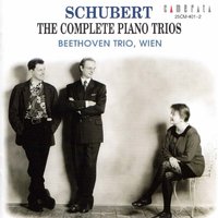 Piano Trio No. 1 in B-Flat Major, Op. 99, D. 898: I. Allegro moderato - Howard Penny & Markus Wolf & Christiane Karajeva & Markus Wolf, Howard Penny, Christiane Karajeva & Франц Шуберт