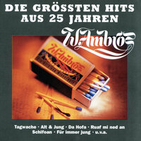Von Liebe ka Spur - Wolfgang Ambros