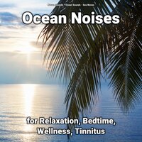 Ocean Sounds - Nature Sounds & Ocean Sounds & Sea Waves