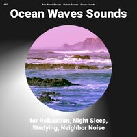 Ocean Waves Sounds Pt. 86 - Nature Sounds & Ocean Sounds & Sea Waves Sounds