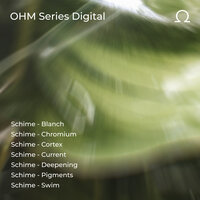 Cortex - Schime