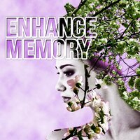 Reading Comprehension - Study Music Guys