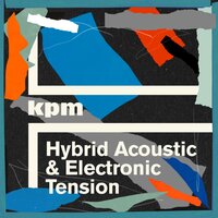 Analogue Pulse - Alexius Tschallener & Dominik Johnson