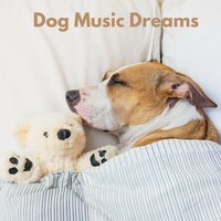 Relax My Dog - Chill My Pooch