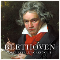 Symphony No.1 In C Major, Op. 21, III. Menuetto. Allegro Molto E Vivace - Tbilisi Symphony Orchestra