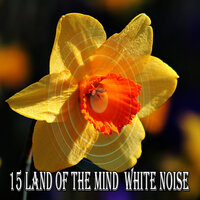 Осознанный шум с гармонией - Ambient Nature White Noise