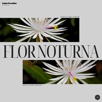 Soft Surf Shifts - Musica Para Dormir