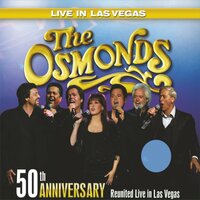 At the Rainbow's End - The Osmonds & Jimmy Osmond & Wayne Osmond & Merrill Davis Osmond & Jay Wesley Osmond