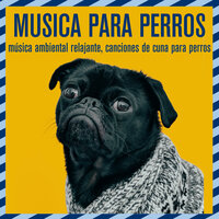 Cachorro soñoliento - Dog Music Dreams & Relax My Dog