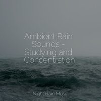Rain on Umbrella - Calm Down & Deep Horizon Waves & Lush Rain Creators